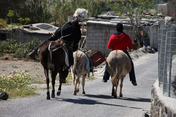 Grecja | W niektórych regionach Grecji w Wielką Środę odbywa się procesja z symbolicznym udziałem zdradzieckiego Judasza