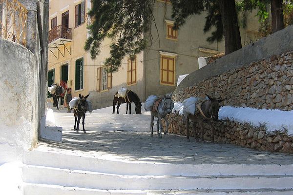 Grecja | Greckie osiołki