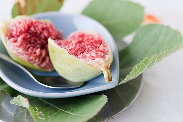 Grecja | Słodki miąższ greckiej figi