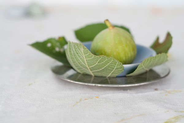 Grecja | Czy figi można jeść na surowo? Jak najbardziej, stanowią doskonałą przekąskę oraz dodatek do deserów, sosów i sałatek