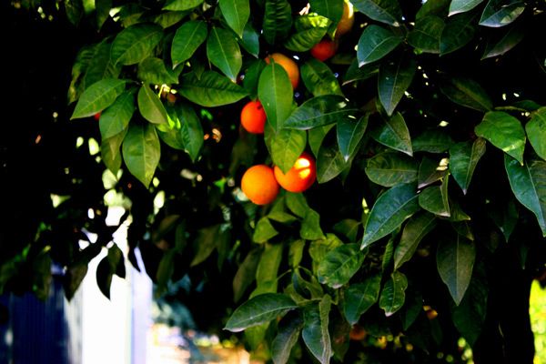 Grecja | Greckie klimaty