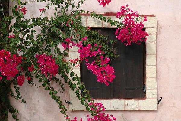 Grecja | Bajeczne zakątki Krety