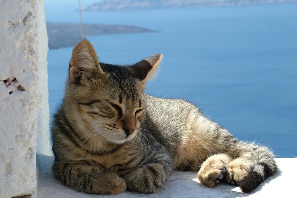 Grecja - Santorini | Są w Grecji takie zakątki, gdzie trudna sytuacja ekonomiczna kraju jest praktycznie nieodczuwalna