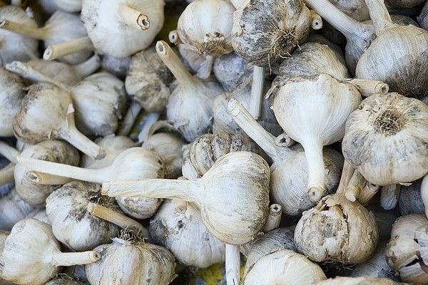 Grecja | Czosnek zawieszony przed domem ma odciągać złe duchy