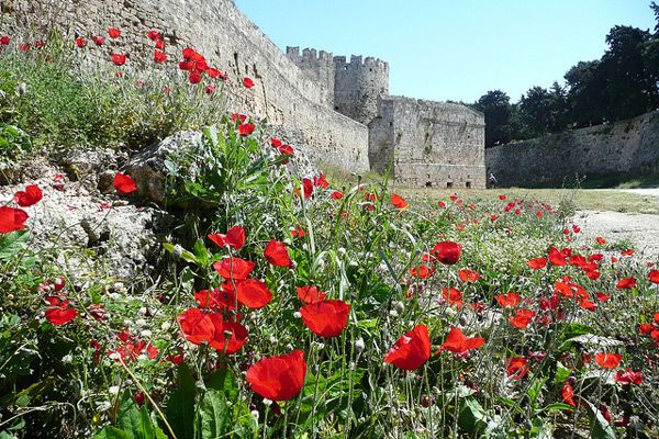 Grecja | Rodyjska starówka na tle przepięknej przyrody