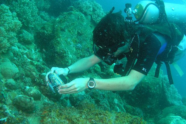 Grecja | Założyciel Muzeum Muszli na Korfu sam jest pasjonatem nurkowania