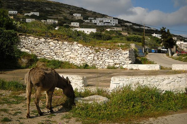 Grecja | Spokojne, klimatyczne wzgórza Amorgos