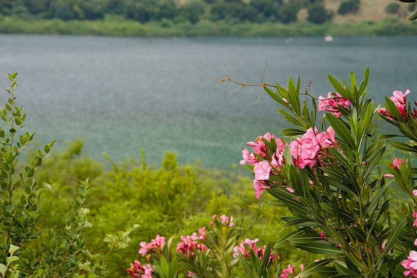 Grecja | Jezioro Kournas