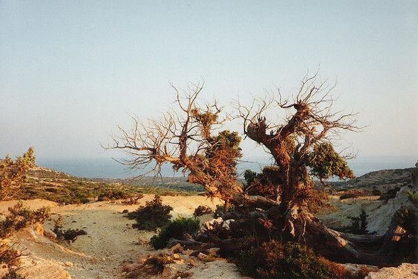 Grecja | tajemnicza, dziewicza Gavdos